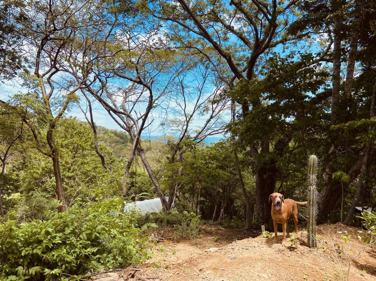 Nosotros Playa Maderas - Surf House & Casitas Villa ภายนอก รูปภาพ
